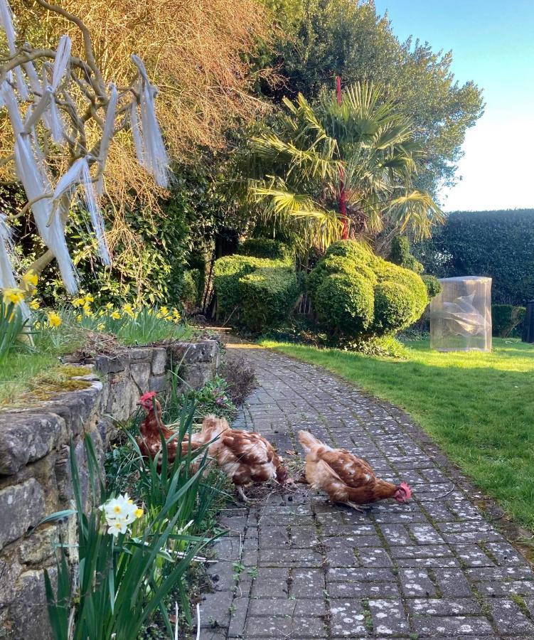 Unique Artists Studio With A Private Garden. Pewsey Exterior photo